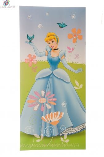 Cinderella canvas