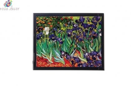 Mylar framed print "Les Iris"