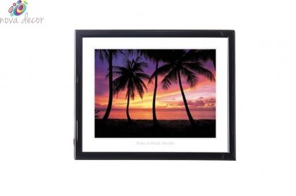 Mylar framed print "California Dream"