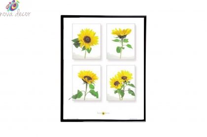 Mylar Framed Print – Sunflowers