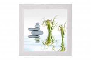 Framed Print - Water reed