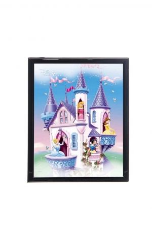 Mylar framed print "The Castle"