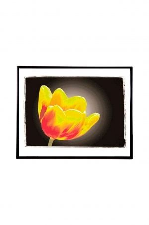 Mylar Framed Print – Brightness