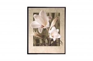 Mylar Framed Print – Lilium