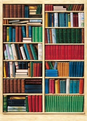 Photowall Bibliothèque