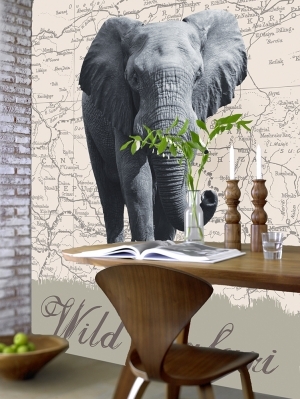 Wild Safari